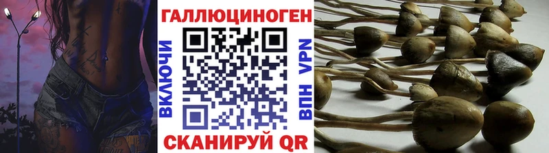OMG маркетплейс  Обоянь  даркнет какой сайт  Псилоцибиновые грибы прущие грибы 